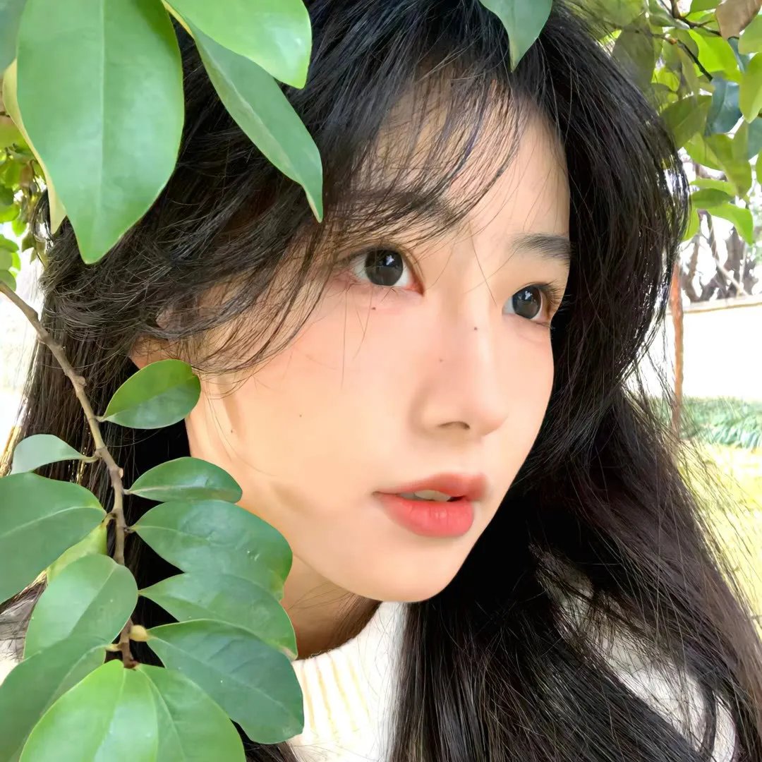白色战争